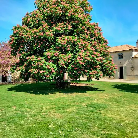 Les De Mouliere Liniers